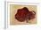 Rock Painting of a Bison, Late Magdalenian, 13000 BC-null-Framed Giclee Print