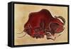 Rock Painting of a Bison, Late Magdalenian, 13000 BC-null-Framed Stretched Canvas