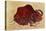 Rock Painting of a Bison, Late Magdalenian, 13000 BC-null-Stretched Canvas