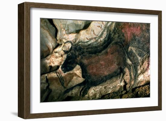 Rock Painting of a Black Bull, circa 17000 BC-null-Framed Giclee Print