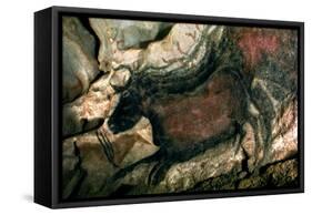 Rock Painting of a Black Bull, circa 17000 BC-null-Framed Stretched Canvas