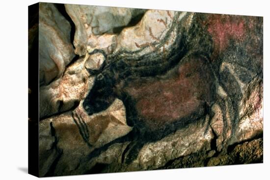 Rock Painting of a Black Bull, circa 17000 BC-null-Stretched Canvas