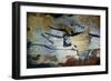 Rock Painting of a Bull with Long Horns, the Hall of Bulls, circa 17000 BC-null-Framed Giclee Print