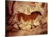 Rock Painting of a Horse, circa 17000 BC-null-Stretched Canvas