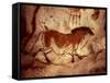 Rock Painting of a Horse, circa 17000 BC-null-Framed Stretched Canvas