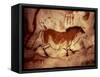 Rock Painting of a Horse, circa 17000 BC-null-Framed Stretched Canvas