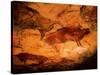 Rock Painting of Bison, circa 15000 BC-null-Stretched Canvas