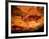 Rock Painting of Bison, circa 15000 BC-null-Framed Giclee Print