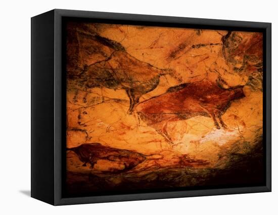 Rock Painting of Bison, circa 15000 BC-null-Framed Stretched Canvas