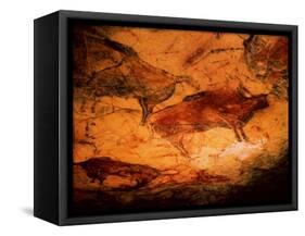 Rock Painting of Bison, circa 15000 BC-null-Framed Stretched Canvas