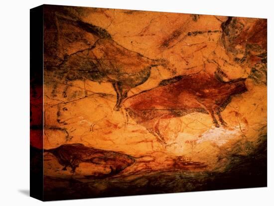 Rock Painting of Bison, circa 15000 BC-null-Stretched Canvas
