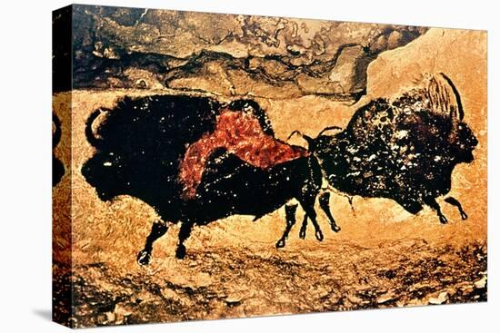 Rock Painting of Bison, circa 17000 BC-null-Stretched Canvas