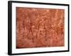 Rock Painting of Hunting Scene, Sahara-Michele Molinari-Framed Photographic Print