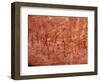 Rock Painting of Hunting Scene, Sahara-Michele Molinari-Framed Photographic Print