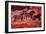 Rock Painting of Tarpans (Ponies), circa 17000 BC-null-Framed Giclee Print