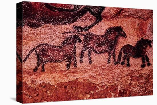 Rock Painting of Tarpans (Ponies), circa 17000 BC-null-Stretched Canvas