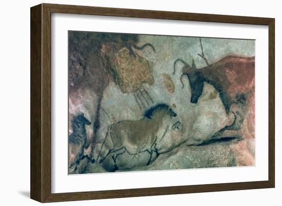 Rock Painting Showing a Horse and a Cow, circa 17000 BC-Prehistoric-Framed Giclee Print