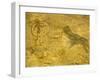 Rock Paintings, Tassili, Algeria, North Africa, Africa-Jack Jackson-Framed Photographic Print