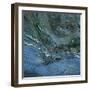 Rock Patterns at Torcross, Devon, UK-Ed Pavelin-Framed Photographic Print