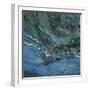 Rock Patterns at Torcross, Devon, UK-Ed Pavelin-Framed Photographic Print