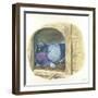 Rock Pigeon Columba Livia Warming Eggs in Nest-null-Framed Giclee Print