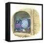 Rock Pigeon Columba Livia Warming Eggs in Nest-null-Framed Stretched Canvas