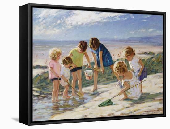 Rock Pooling-Paul Gribble-Framed Stretched Canvas