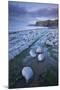 Rock Pools on Kilve Beach, Somerset, England. Summer-Adam Burton-Mounted Photographic Print