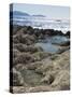 Rock Pools Where Locals Collect Salt, Alaties Beach Area, Kefalonia, Ionian Islands, Greece-R H Productions-Stretched Canvas