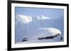 Rock Ptarmigan (Lagopus Mutus) on Boulder in Winter Plumage, Cairngorms Np, Highlands, Scotland, UK-Peter Cairns-Framed Photographic Print