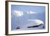 Rock Ptarmigan (Lagopus Mutus) on Boulder in Winter Plumage, Cairngorms Np, Highlands, Scotland, UK-Peter Cairns-Framed Photographic Print