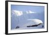 Rock Ptarmigan (Lagopus Mutus) on Boulder in Winter Plumage, Cairngorms Np, Highlands, Scotland, UK-Peter Cairns-Framed Photographic Print