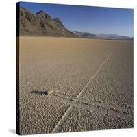 Rock Pushed by Wind in Desert-Micha Pawlitzki-Stretched Canvas