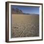 Rock Pushed by Wind in Desert-Micha Pawlitzki-Framed Photographic Print