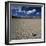 Rock Pushed by Wind in Desert-Micha Pawlitzki-Framed Photographic Print