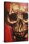 Rock Skull-Rock Demarco-Stretched Canvas