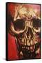 Rock Skull-Rock Demarco-Framed Stretched Canvas