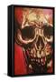 Rock Skull-Rock Demarco-Framed Stretched Canvas