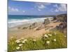 Rock Stacks, Beach and Rugged Coastline at Bedruthan Steps, North Cornwall, England-Neale Clark-Mounted Photographic Print