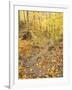 Rock Stairs on the Sugarloaf Trail, White Mountain National Forest, New Hampshire, USA-Jerry & Marcy Monkman-Framed Premium Photographic Print