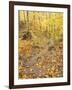 Rock Stairs on the Sugarloaf Trail, White Mountain National Forest, New Hampshire, USA-Jerry & Marcy Monkman-Framed Premium Photographic Print