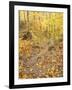 Rock Stairs on the Sugarloaf Trail, White Mountain National Forest, New Hampshire, USA-Jerry & Marcy Monkman-Framed Premium Photographic Print