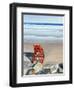 Rock Star, 2014-David Arsenault-Framed Giclee Print