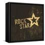 Rock Star Grunge Icon-pashabo-Framed Stretched Canvas