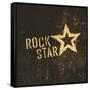 Rock Star Grunge Icon-pashabo-Framed Stretched Canvas