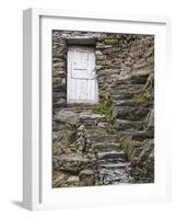 Rock Steps Lead to Old Wooden Door, Vernazza, Italy-Dennis Flaherty-Framed Photographic Print