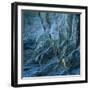 Rock Strata at Torcross, Devon, UK-Ed Pavelin-Framed Photographic Print