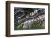 Rock Strata of Basalt and Quartz-Anna Henly-Framed Photographic Print