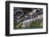 Rock Strata of Basalt and Quartz-Anna Henly-Framed Photographic Print