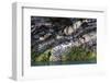 Rock Strata of Basalt and Quartz-Anna Henly-Framed Photographic Print